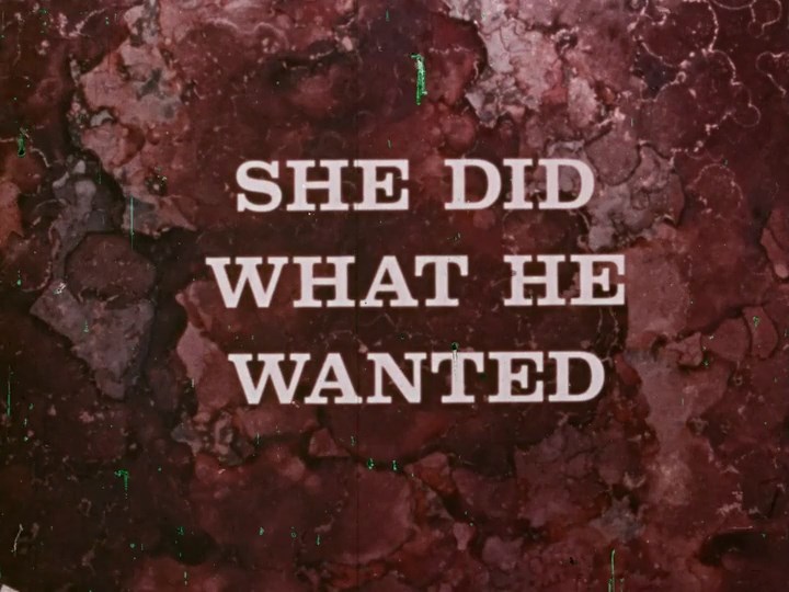 She Did What He Wanted / Psychedelic Sex Freak / Она сделала то, что он хотел )