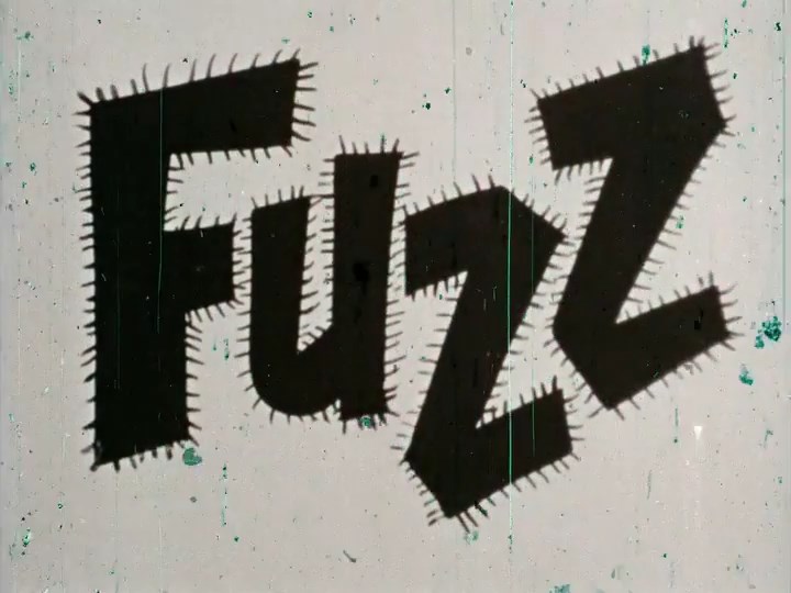 Fuzz